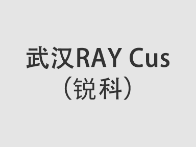 武汉RAY Cus（瑞科）